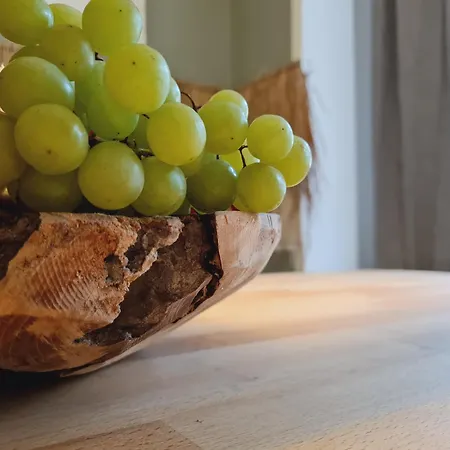 Apartamento Safan Riverside I Chakalaka Afrika I Altstadt & Elbe