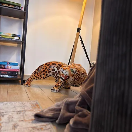 דירה Safan Riverside I Chakalaka Afrika I Altstadt & Elbe *